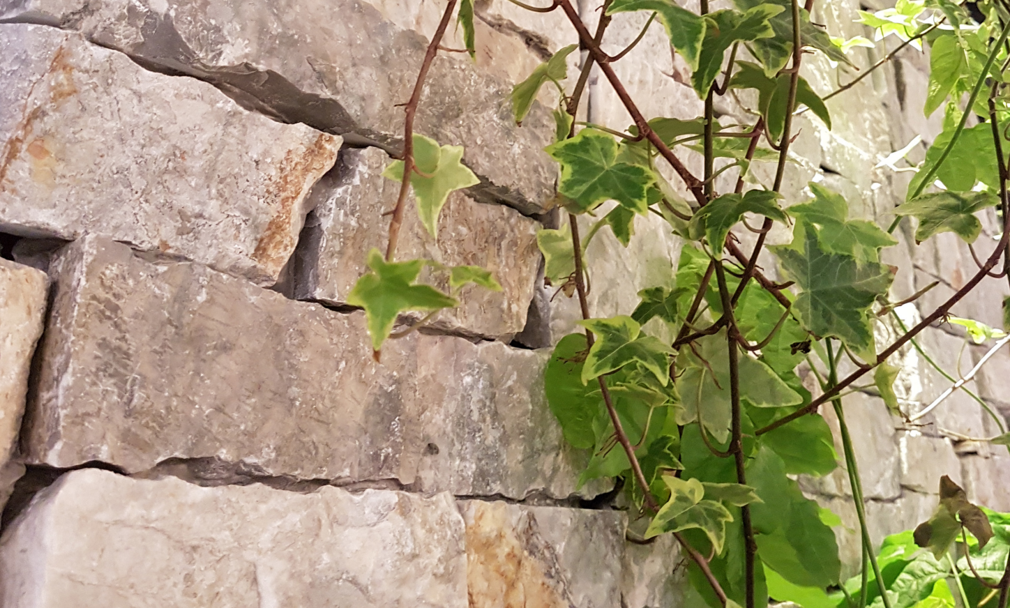 Beton & Verblender